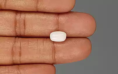 White Coral - 3.09 Carats