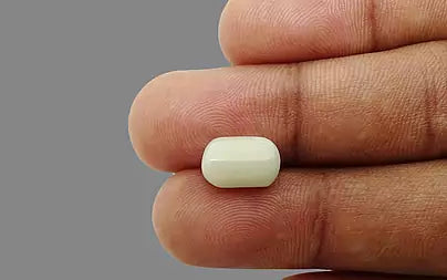 White Coral - 3.7 Carats