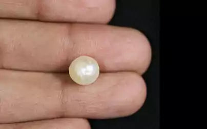 Keshi Pearl - 4.11 Carats (Moti - 4.48 Ratti)
