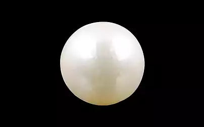 South Sea Pearl - 3.77 Carats (Moti - 4.11 Ratti)
