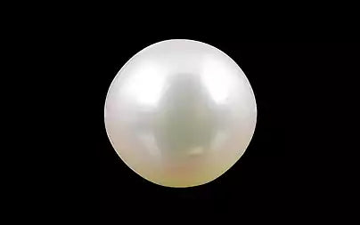 South Sea Pearl - 4.40 Carats (Moti - 4.80 Ratti)