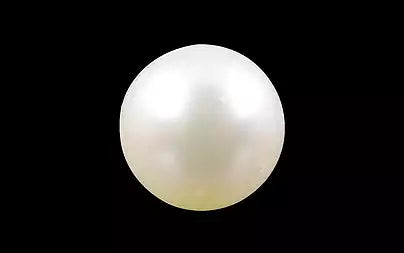 South Sea Pearl - 3.48 Carats (Moti - 3.79 Ratti)