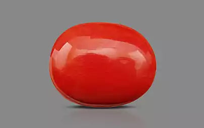 Red Coral - 17.91 Carats (Moonga - 19.52 Ratti)