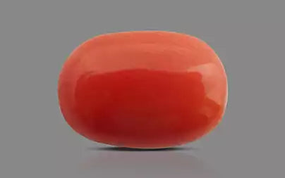 Red Coral - 9.59 Carats (Moonga - 10.45 Ratti)