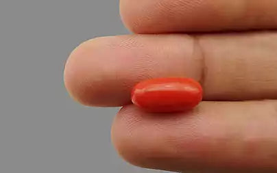 Red Coral - 4.54 Carats (Moonga - 4.95 Ratti)