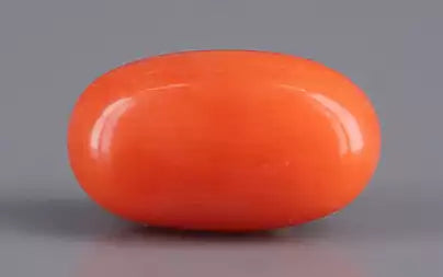 Red Coral - 4.01 Carats (Moonga - 4.37 Ratti)