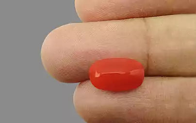 Red Coral - 5.07 Carats (Moonga - 5.53 Ratti)