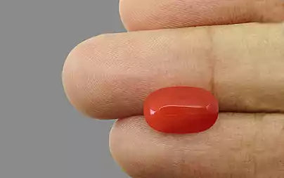 Red Coral - 4.93 Carats (Moonga - 5.37 Ratti)