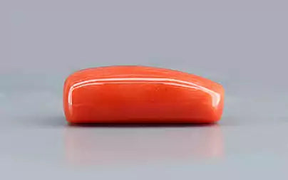 Red Coral - 11.74 Carats (Moonga - 12.80 Ratti)