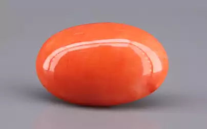 Red Coral - 13.22 Carats (Moonga - 14.41 Ratti)