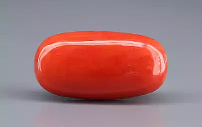 Red Coral - 17.65 Carats (Moonga - 19.24 Ratti)