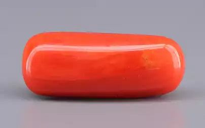 Red Coral - 9.03 Carats (Moonga - 9.84 Ratti)