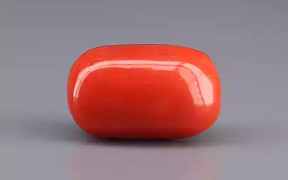 Red Coral - 15.89 Carats (Moonga - 17.32 Ratti)