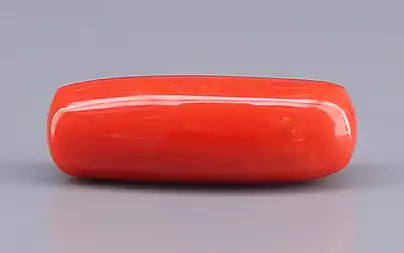 Red Coral - 9.12 Carats (Moonga - 9.94 Ratti)