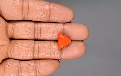 Red Coral - 8.44 Carats (Moonga - 9.20 Ratti)