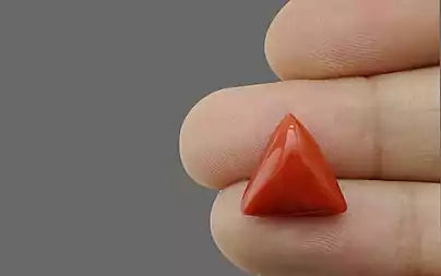 Red Coral (Moonga) - 8.51 Carats