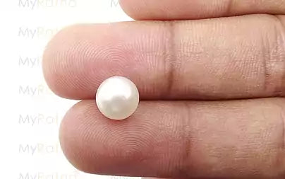 South Sea Pearl - 3.94 Carats (Moti - 4.29 Ratti)