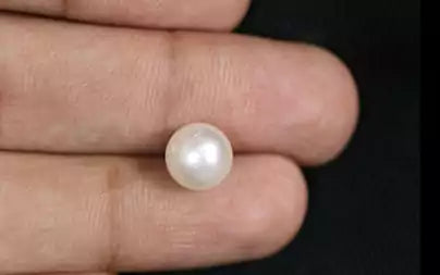 South Sea Pearl - 3.63 Carats (Moti - 3.96 Ratti)