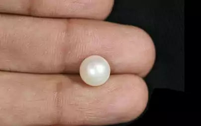 South Sea Pearl (Moti) - 3.86 Carats