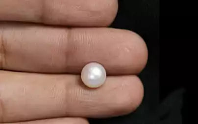South Sea Pearl (Moti) - 3.29 Carats