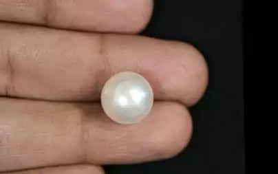 South Sea Pearl - 10.49 Carats (Moti - 11.43 Ratti)