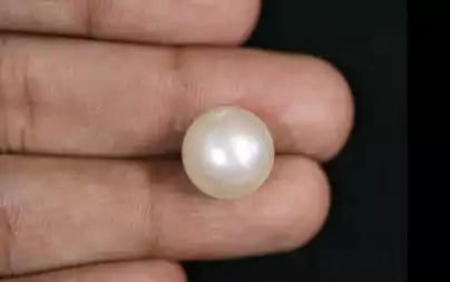 South Sea Pearl - 12.73 Carats (Moti - 13.88 Ratti)