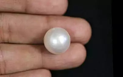 South Sea Pearl - 18.84 Carats (Moti - 20.54 Ratti)
