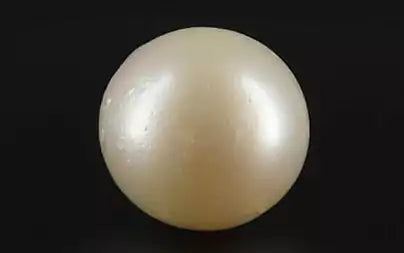 South Sea Pearl - 10.79 Carats (Moti - 11.76 Ratti)