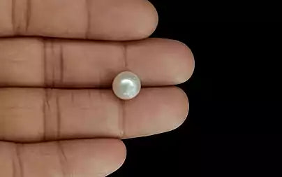 South Sea Pearl (Moti) - 5.55 Carats