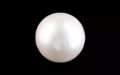 South Sea Pearl - 10.91 Carats (Moti - 11.89 Ratti)