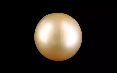 South Sea Pearl - 11.54 Carats (Moti - 12.58 Ratti)