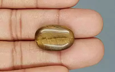 Tiger Eye - 16.34 Carats