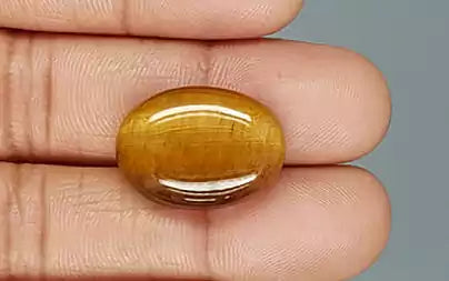 Tiger Eye - 20.10 Carats