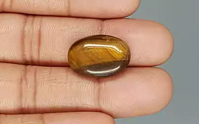 Tiger Eye - 13.71 Carats