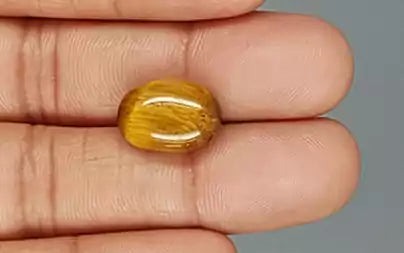 Tiger Eye - 8.82 Carats