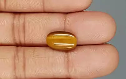 Tiger Eye - 4.31 Carats