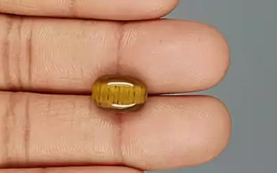 Tiger Eye - 5.46 Carats