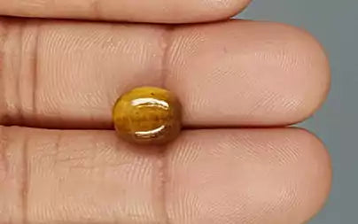 Tiger Eye - 4.14 Carats