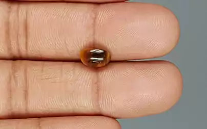 Tiger Eye - 1.82 Carats