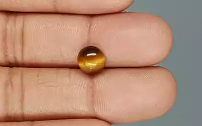 Tiger Eye - 2.13 Carats