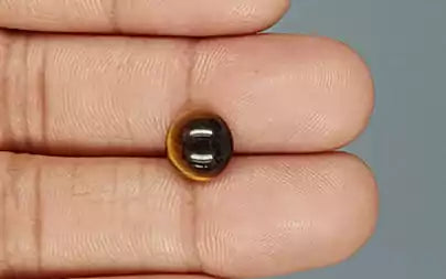 Tiger Eye - 2.72 Carats