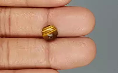 Tiger Eye - 2.06 Carats