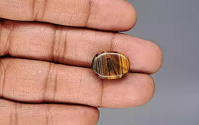 Tiger Eye - 12.21 Carats