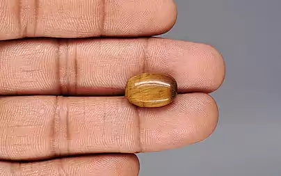 Tiger Eye - 7.95 Carats