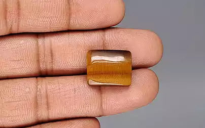 Tiger Eye - 13.06 Carats