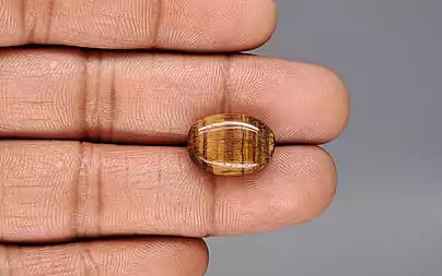 Tiger Eye - 9.91 Carats