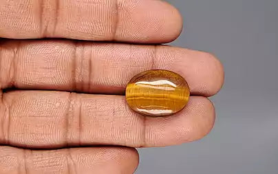 Tiger Eye - 13.84 Carats