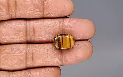 Tiger Eye - 10.31 Carats