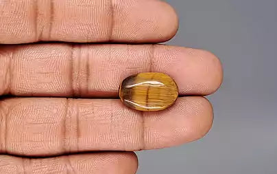 Tiger Eye - 8.88 Carats