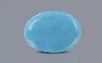 Turquoise - 12.01 Carats ( Firoza - 13.09 Ratti )
